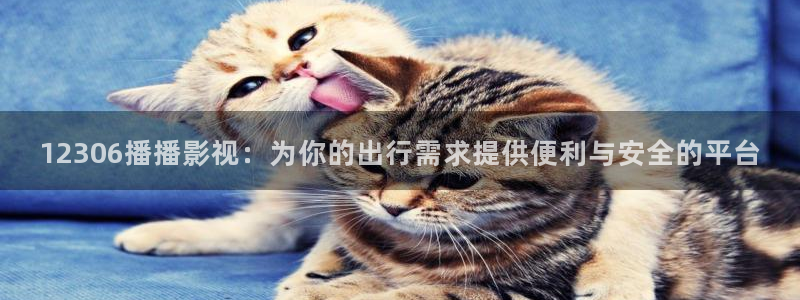 爱丫爱丫兄妹在线影院电视剧：12306播播影视：为你的出行需求提供便利与安全的平台