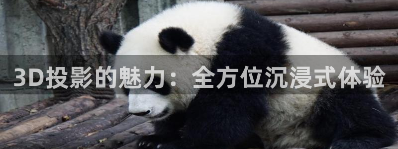爱丫爱丫在线影院电视剧高清免费：3D投影的魅力：全方位沉浸式体验