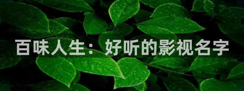 爱丫爱丫在线影院电视剧免费孕妇：百味人生：好听的影视名字