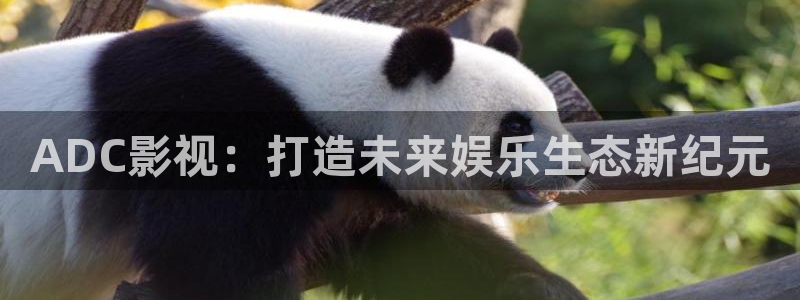 哎爱丫爱丫电视剧免费观看：ADC影视：打造未来娱乐生态新纪元