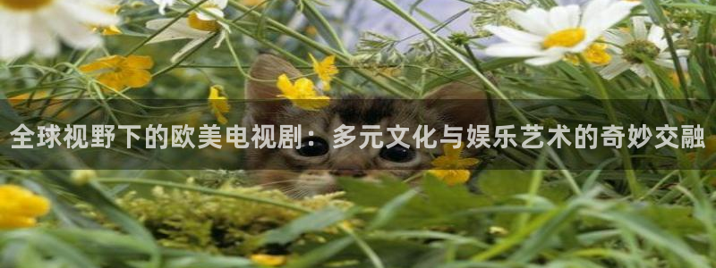 爱丫爱丫电视剧免费：全球视野下的欧美电视剧：多元文化与娱乐艺术的奇妙交融