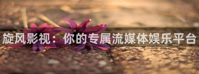 爱丫爱丫高清在线观看