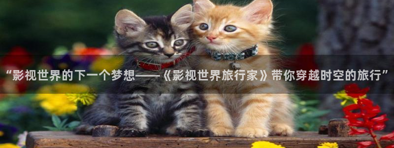 爱丫爱丫电视剧在线观看免费版电影：“影视世界的下一个梦想——《影视世界旅行家》带你穿越时空的旅行”