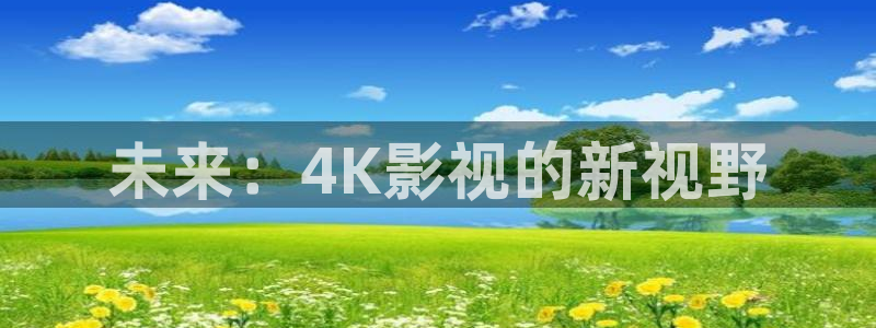 爱丫爱丫在线影院电视：未来：4K影视的新视野